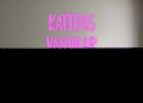 Custom Neon: KATTENS
 SKÅPBIL...